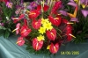 Антуриум - Anthurium  Red_Anthurium_bouquet_2_sized.jpg