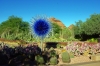 Last additions Desert_Botanical_Garden18.jpg