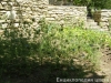 Most viewed Garden_Balchik050.jpg