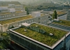 Last additions Roof_garden11.jpg