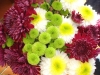 Most viewed - СНИМКИ ОТ САЙТА CVETQ.INFO chrysanthemum_gl.jpg