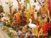 Most viewed - zamakat's Gallery flora-burgas-2010-gradina-zamakat_(34).JPG
