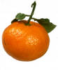 2263tangerine.jpg